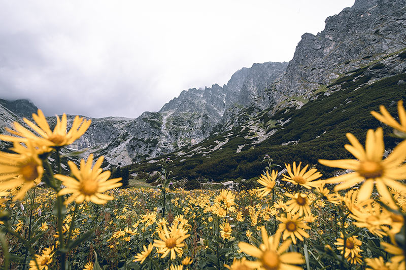 Vysoké Tatry, aktivity v Tatrách